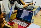 Software Development